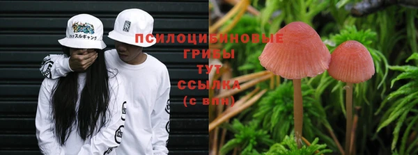 прущие крисы Баксан
