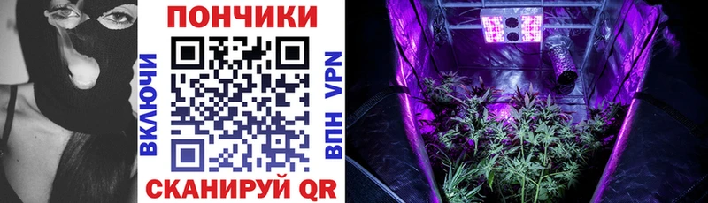дарк нет Telegram  Цимлянск  Бошки Шишки планчик 